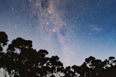 Tinderbox Cliff House - Nambucca Heads Accommodation 6