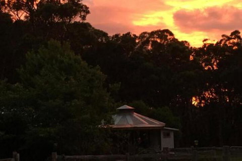 Ionaforest Yurt & Shepherds Hut - Nambucca Heads Accommodation 4