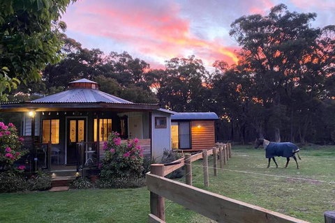 Ionaforest Yurt & Shepherds Hut - Nambucca Heads Accommodation 3