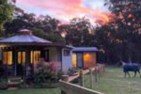 Ionaforest Yurt & Shepherds Hut - Nambucca Heads Accommodation 0