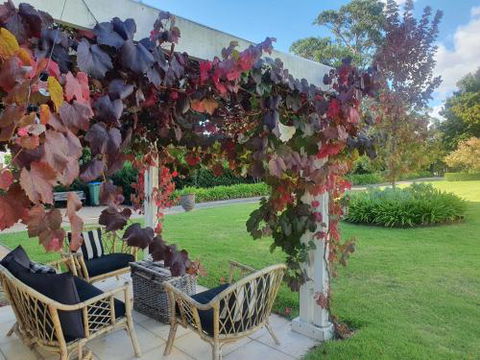 The Cottage - Nambucca Heads Accommodation 6