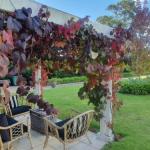The Cottage - Nambucca Heads Accommodation 0