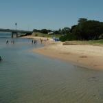 Black Dolphin Waterfront Apartment - Nambucca Heads Accommodation 0