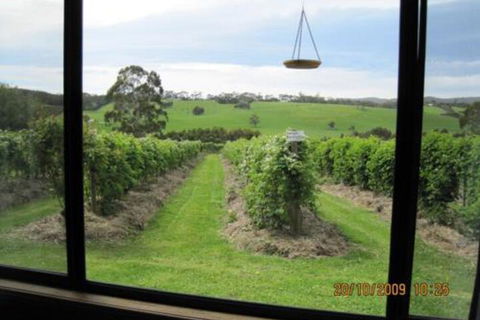 Pennyroyal Raspberry Farm & Cidery - Nambucca Heads Accommodation 0