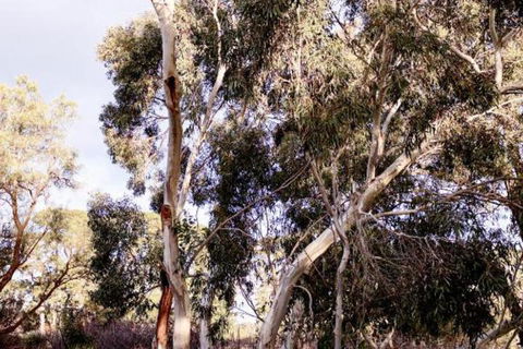 Harts Farm - Nambucca Heads Accommodation 5