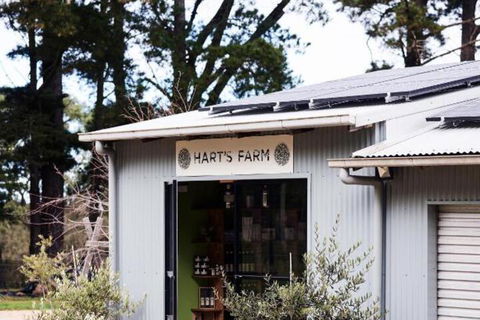 Harts Farm - Nambucca Heads Accommodation 3