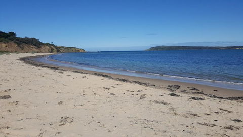 Beach Haven Caravan Park - Nambucca Heads Accommodation 1