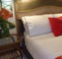 Daintree Deep Forest Lodge - Nambucca Heads Accommodation