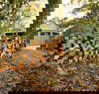 Cape Otway Cottages - Nambucca Heads Accommodation