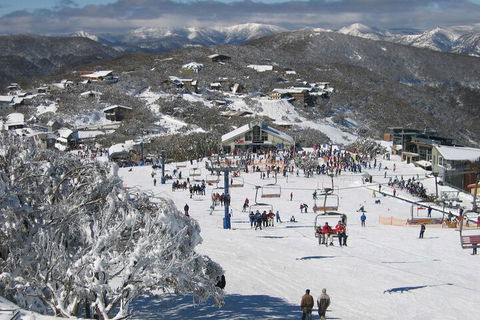 Snowflake 12 - Nambucca Heads Accommodation 7