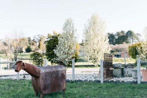 Omaroo - Nambucca Heads Accommodation 5