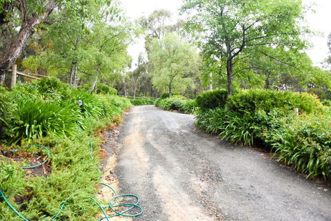 Avoca Park - Nambucca Heads Accommodation 4