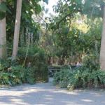 Avoca Park - Nambucca Heads Accommodation 0