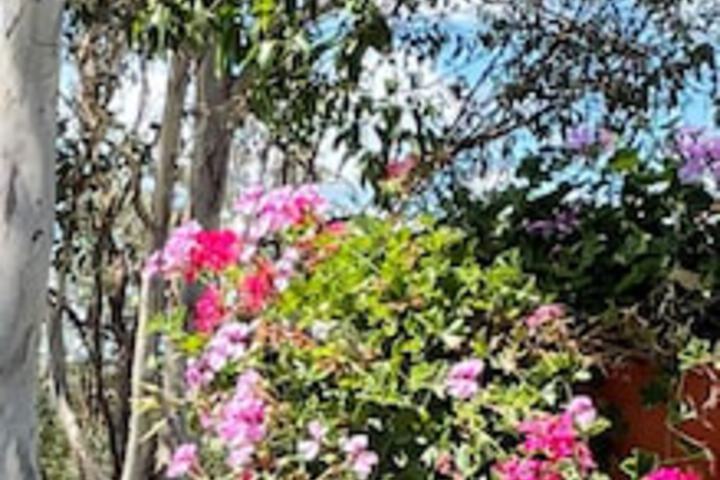 Plainby QLD Nambucca Heads Accommodation