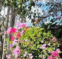 Crows Nest Motel - Nambucca Heads Accommodation