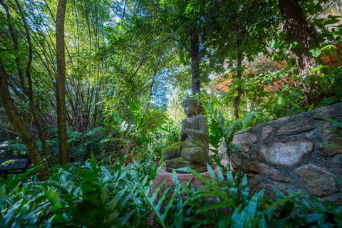 The Tree House. Treetop Living Near The Ocean Coolum Beach QLD Australia - Nambucca Heads Accommodation 2