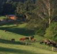 Amaroo Valley Springs - Nambucca Heads Accommodation