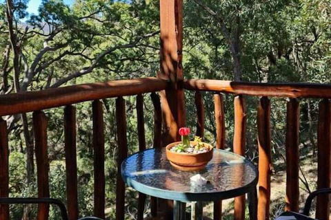 Shady Creek Eco Cabin - Nambucca Heads Accommodation 1