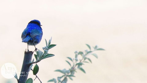 Tegwan's Nest - Nambucca Heads Accommodation 1