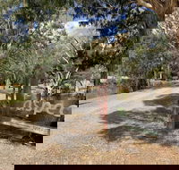 Bushland - Nambucca Heads Accommodation