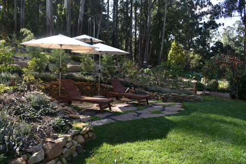 Forest Edge Cottage At Merrow Cottages - Nambucca Heads Accommodation 0