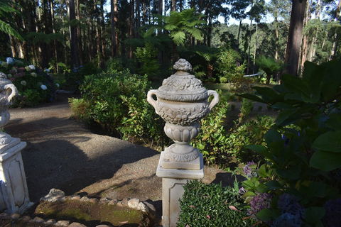 Forest Edge Cottage At Merrow Cottages - Nambucca Heads Accommodation 2