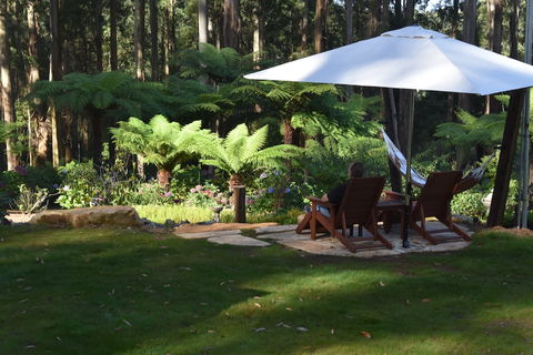 Forest Edge Cottage At Merrow Cottages - Nambucca Heads Accommodation 5