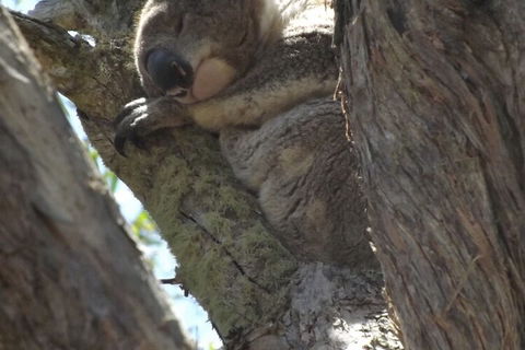 Stone & Straw Retreat - Nambucca Heads Accommodation 2