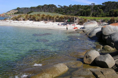 Sawyers Bay Shacks - Nambucca Heads Accommodation 4