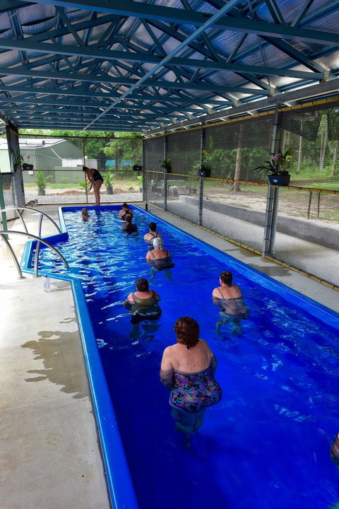 Daintree Peaks ECO Stays - Nambucca Heads Accommodation 0