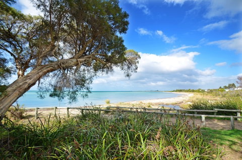 Halcyon Daze - Nambucca Heads Accommodation 4