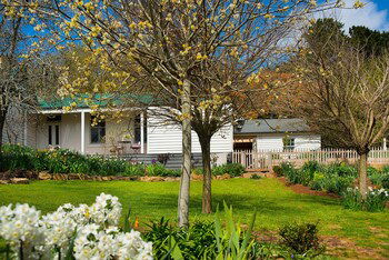 Hillendale West Wing Daylesford - Nambucca Heads Accommodation 0