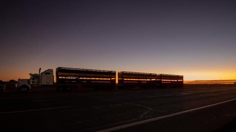 Longreach Outback Adventures - Nambucca Heads Accommodation 2