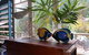 Lilybank Guest House - thumb 1