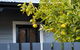The Lemontree - thumb 0