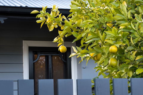 The Lemontree - Nambucca Heads Accommodation 0