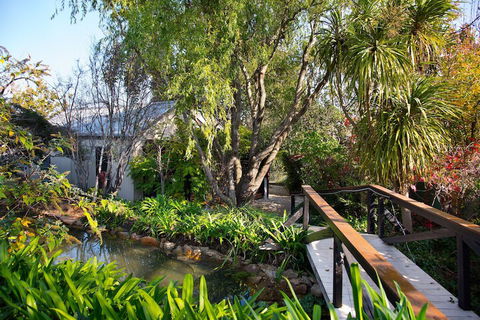 Walnut Chalet 4 - Nambucca Heads Accommodation 7