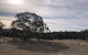 The Saddle Camp Tiny House Braidwood - thumb 2