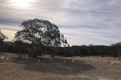 The Saddle Camp Tiny House Braidwood - Nambucca Heads Accommodation 2