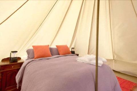 Goldfield Glamping - Nambucca Heads Accommodation 5