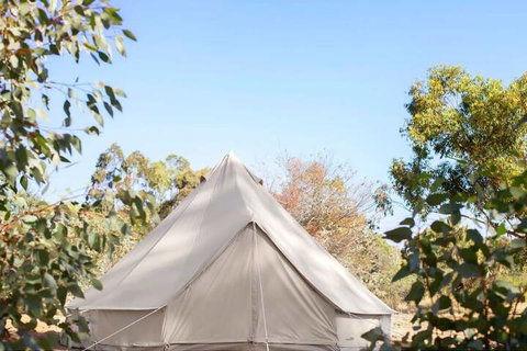 Goldfield Glamping - Nambucca Heads Accommodation 2