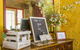 Monkey Place Country House - thumb 1