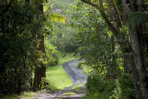 Nimbin Waterfall Retreat - Nambucca Heads Accommodation 1