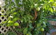 6-Bedroom House Singleton Hunter Valley - thumb 5