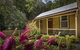 Creek Cottage - thumb 0