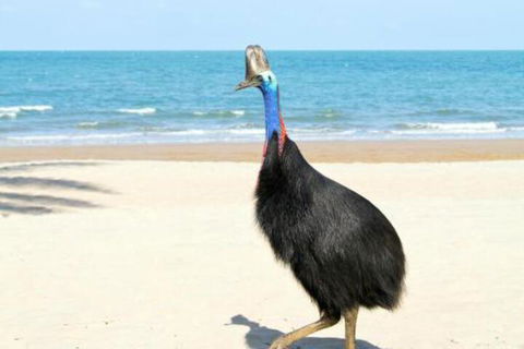 Kirrama 3 - Nambucca Heads Accommodation 4
