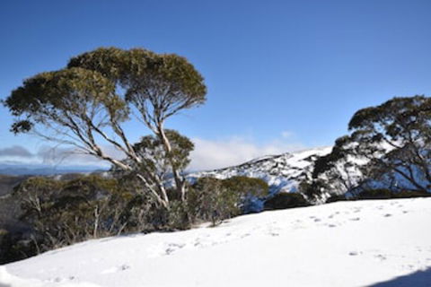 Alpine Heights 9 - Nambucca Heads Accommodation 0