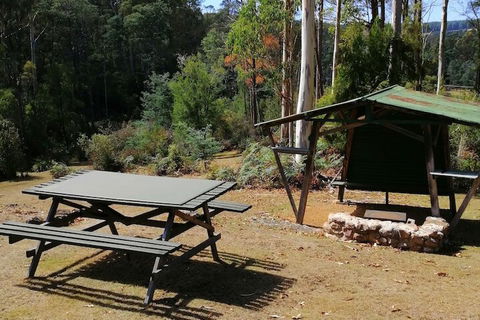 Minnow Cabins - Nambucca Heads Accommodation 6
