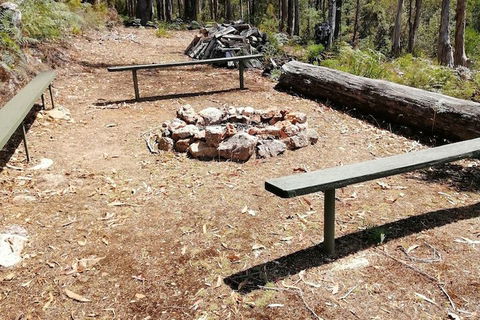 Minnow Cabins - Nambucca Heads Accommodation 5