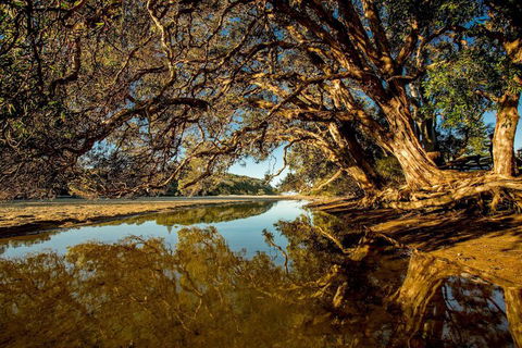 Woolgoolga Lakeside Holiday Park - Nambucca Heads Accommodation 1